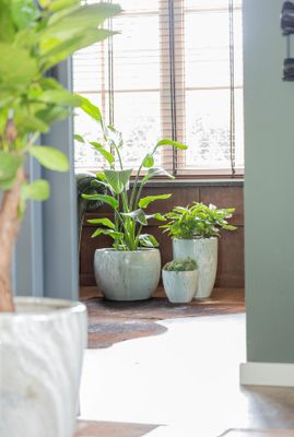 Emperor Belly Pot Aqua S3 D20/37H19/30