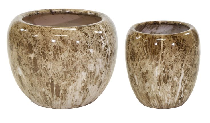 Emperor Belly Big Brown S2 D31/48H35/40 Emperor Belly Big Brown S2 D31/48H35/40