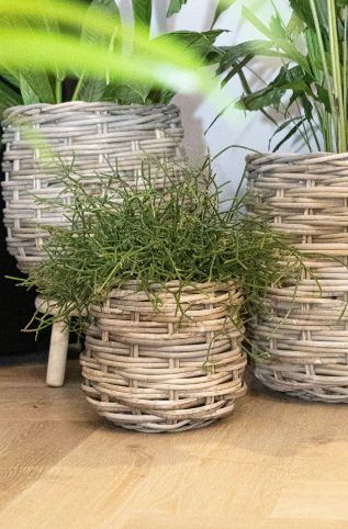 Step Cauldron -SP-S3 D25/44H23/40