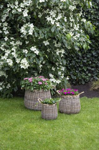 Luna Rope Cauldron -F- S3 D26/40H23/39