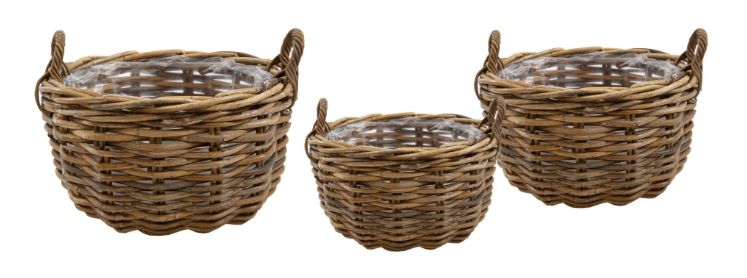 Kubu CL Egg Low -SP- S3 D33/58H17/26