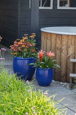 Noble Jar Line S3 D30/57H32/58