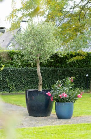 Noble Egg XL S4 D40/80H36/70 Noble Egg XL S4 D40/80H36/70