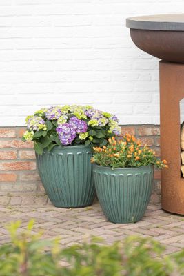 Noble Egg Lines S4 D31/58H29.5/51