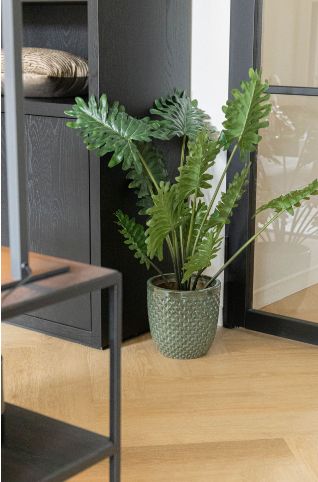 Grace Bullet Wyber S5 D14/38H16/40 Grace Bullet Wyber S5 D14/38H16/40