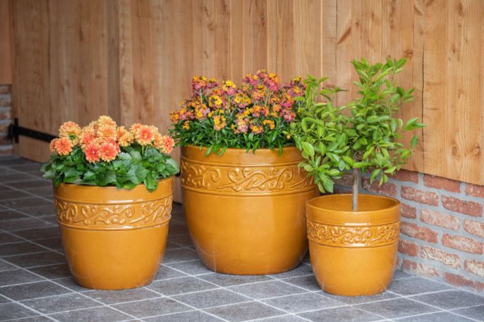 Noble Egg Swirl S3 D30/48H27/43 Noble Egg Swirl S3 D30/48H27/43