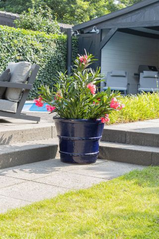 Glazed Con. Ring S4 D24/58H25/48 Glazed Con. Ring S4 D24/58H25/48