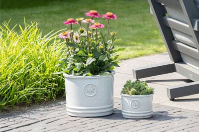 Glazed Bumble Bee Cylinder S4 D20/38H14 Glazed Bumble Bee Cylinder S4 D20/38H14