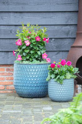 Noble Egg Facet S3 D30/48H27/43