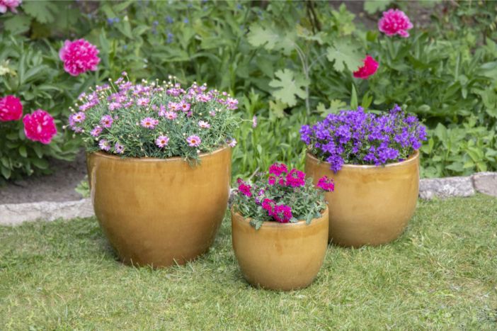 Glazed Egg Pot S3 D23/38H19/32 Glazed Egg Pot S3 D23/38H19/32