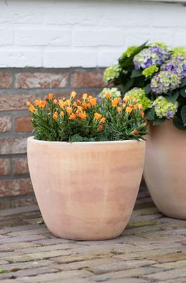 Whitewash Egg Pot S3 D26/40H21/33