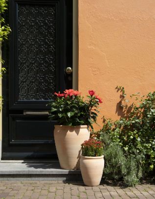 Whitewash Belly Rim Stretched S4 D27/50H30/55