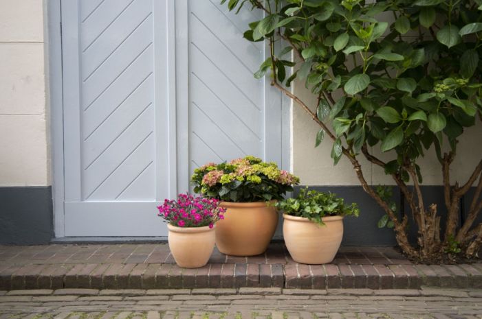 Whitewash Belly Rim S4 D24/48H20/36