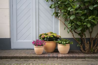 Whitewash Belly Rim S4 D24/48H20/36