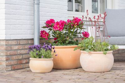 Whitewash Bavaria S3 D32/53H21/31