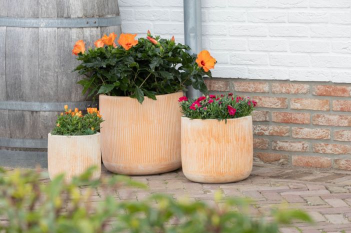 Whitewash Vert. Rib Cylinder S3  D22/37 H24/36