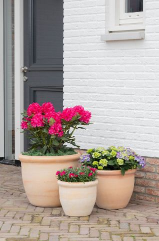 Whitewash Hp001 S3 D30/50H25/39