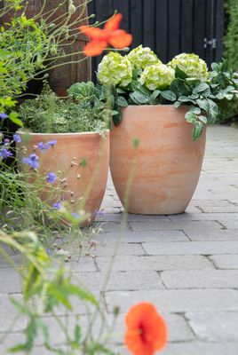 Whitewash Egg Slim S3 D23/43H31/50