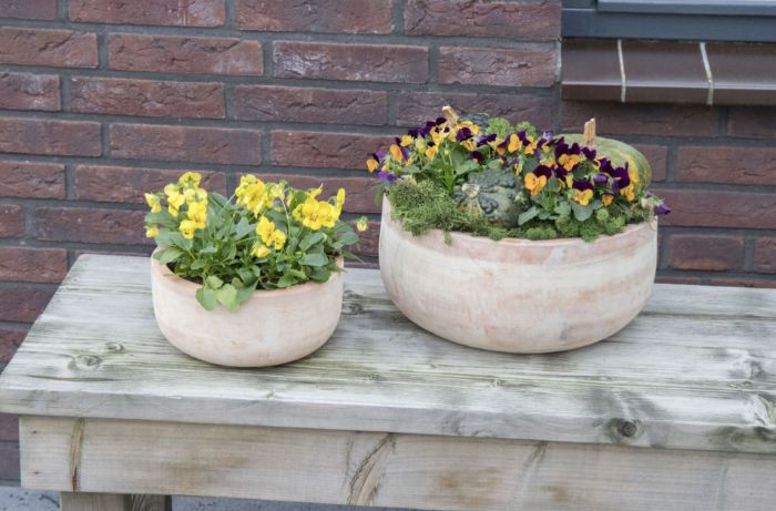 Whitewash Bowl S4 D21/52H10/25