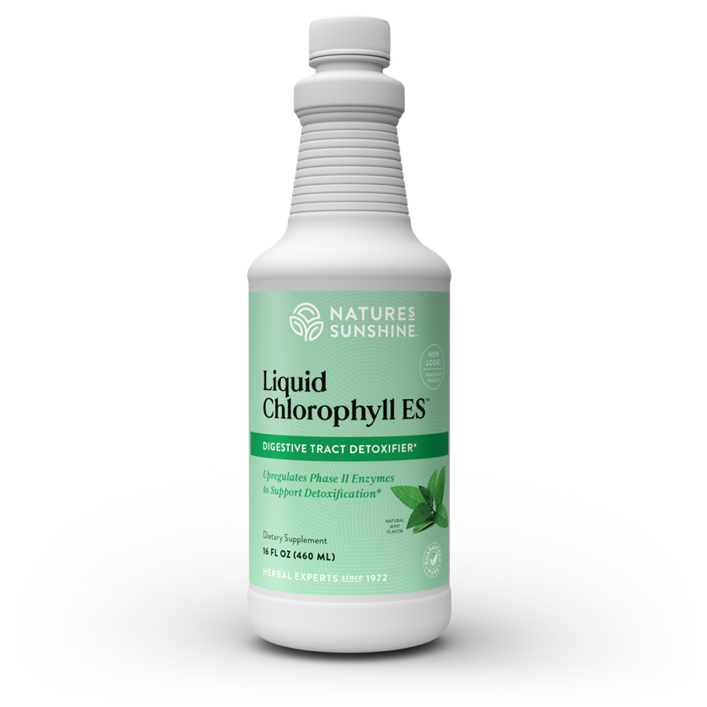 Liquid Chlorophyll ES Liquid Extra Strength, 16 Fl Oz, Kosher | Fresh Mint Chlorophyllin Assists Detoxification and Provides Intestinal, Immune, and Digestive System Support