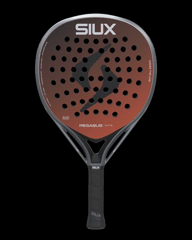 Siux Pegasus Elite 4 2026