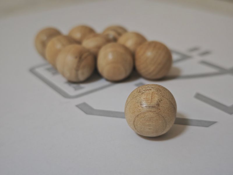 「Olfactory Anchor 02」：原生樟木（クスノキ）感官シークエンス