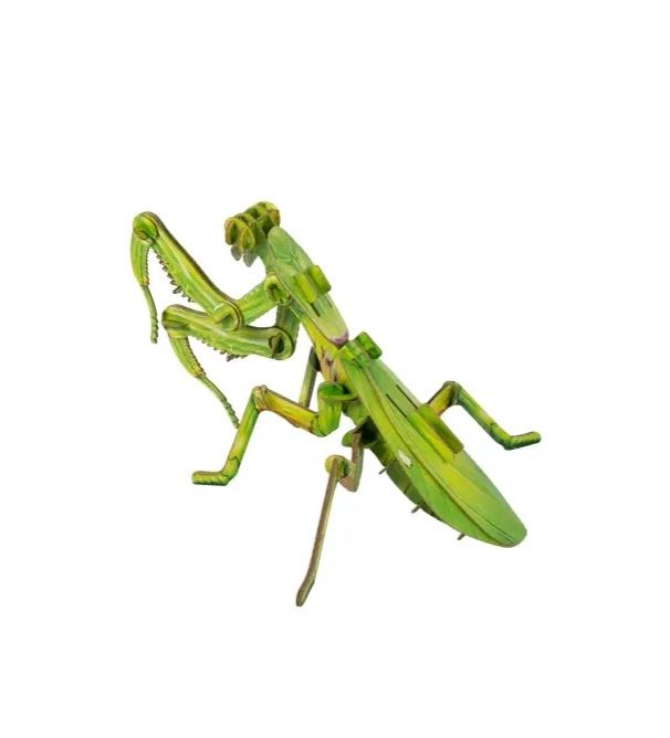 GIANT PRAYING MANTIS