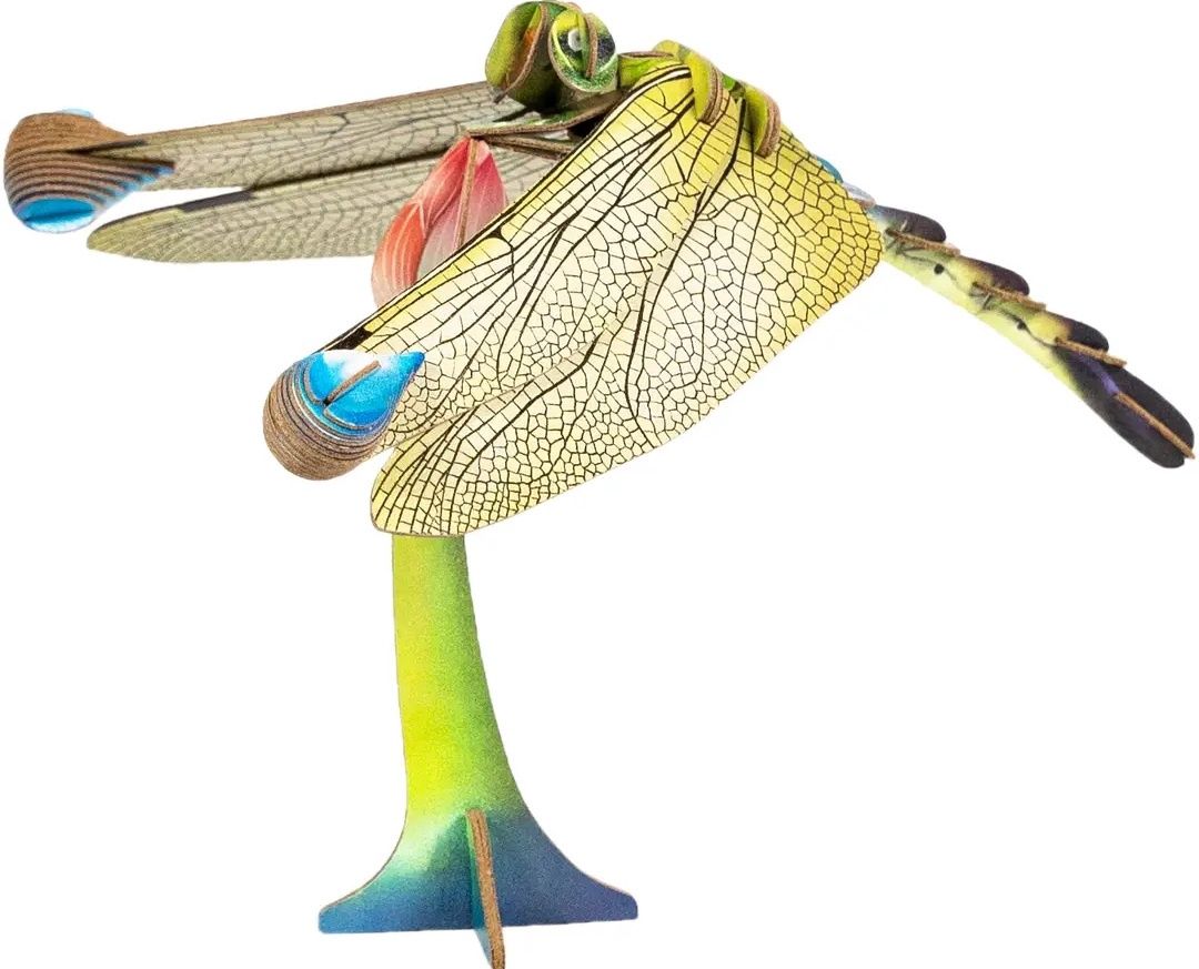 DRAGONFLY