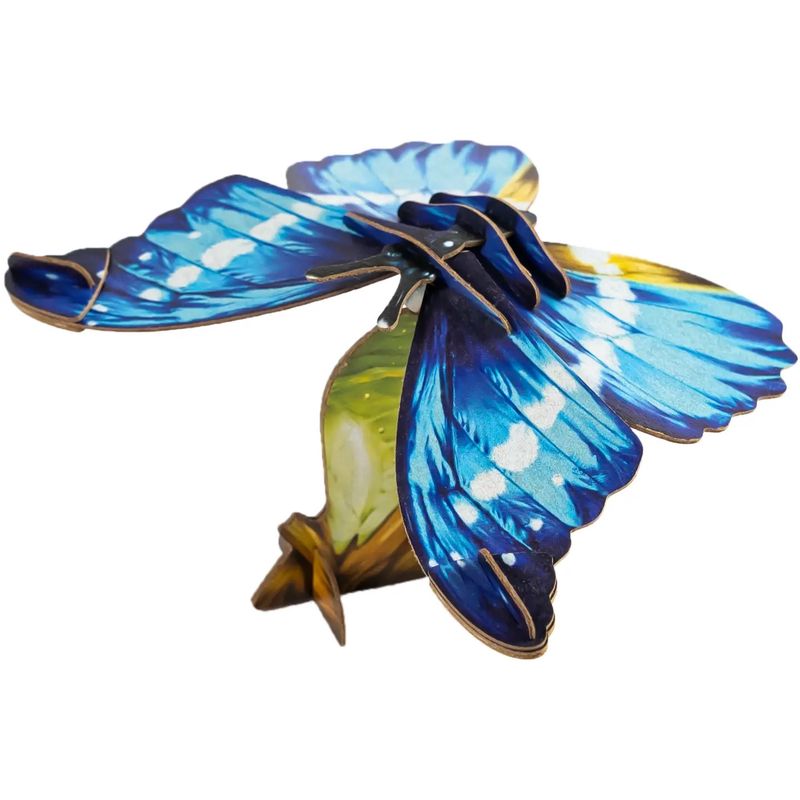 HELENA MORPHO BUTTERFLY