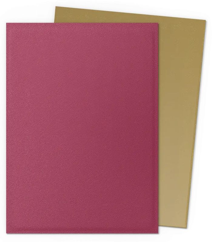 DRAGON SHIELDS 100ct DUAL MATTE RED/GOLD