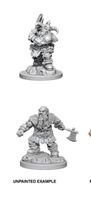 D+D MALE DWARF BARBARIAN W6