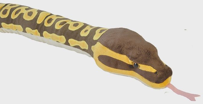 54" BALL PYTHON