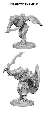 D+D DRAGONBORN MALE FIGHTER