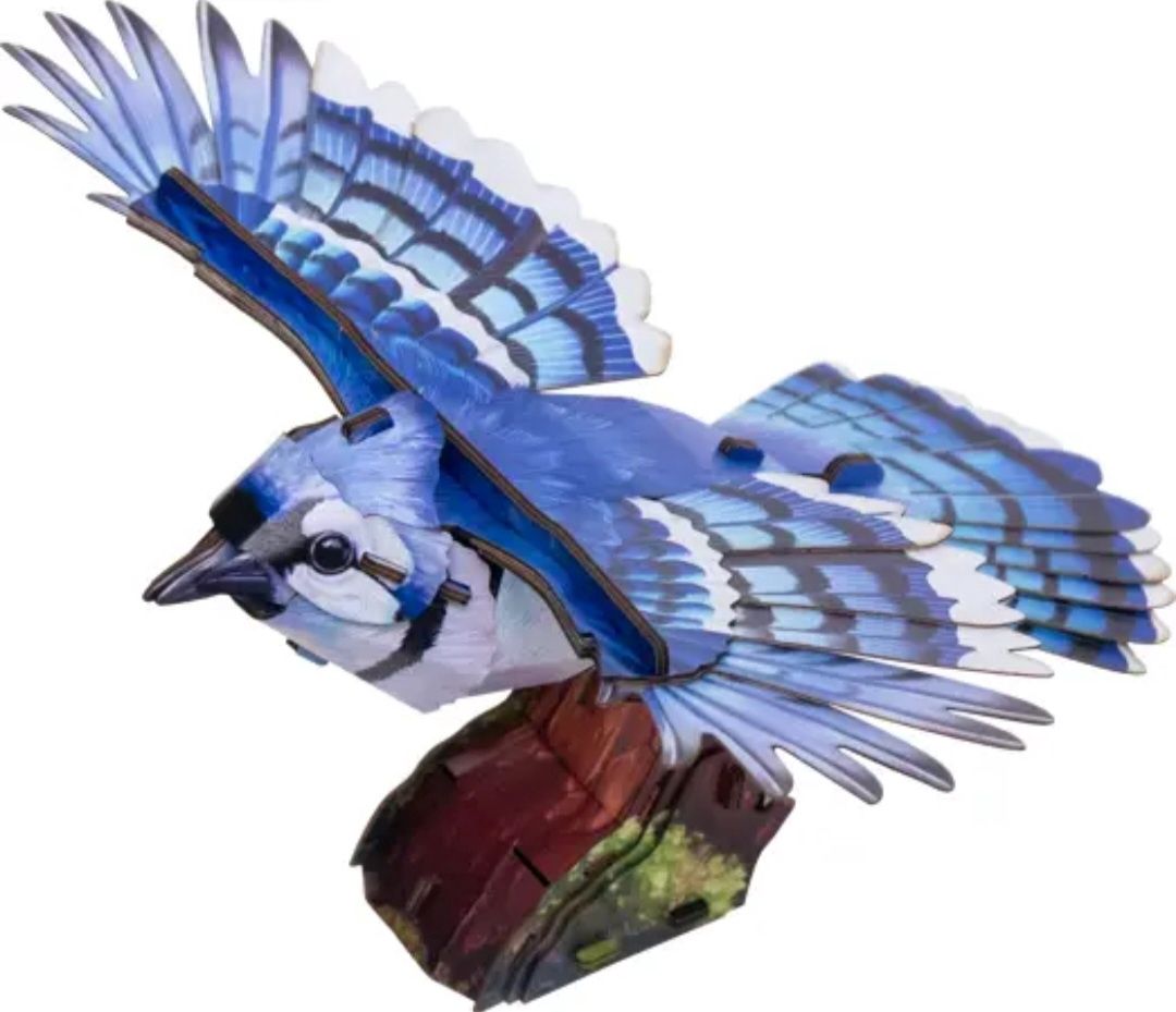 BLUE JAY