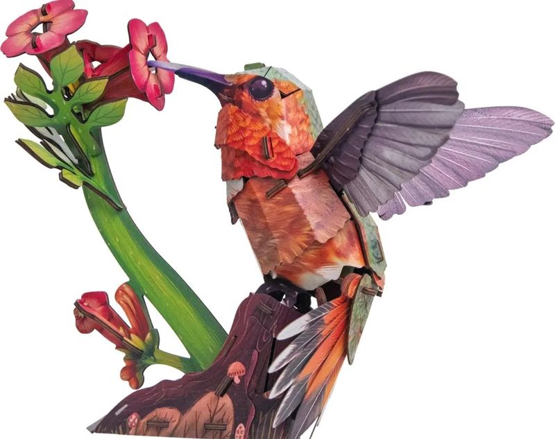 HUMMINGBIRD