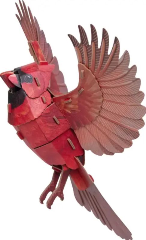 AMERICAN CARDINAL