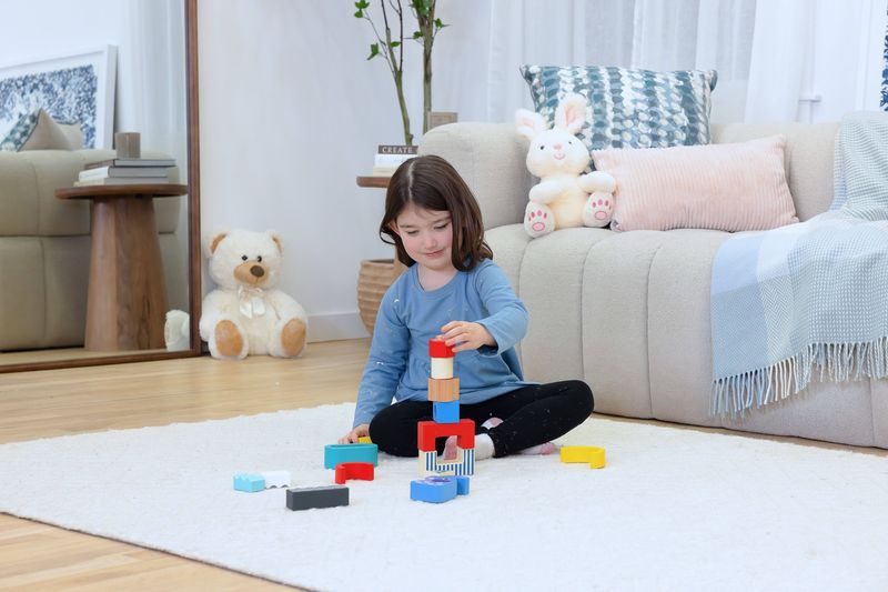 Wooden Shape &amp; Animal Blocks