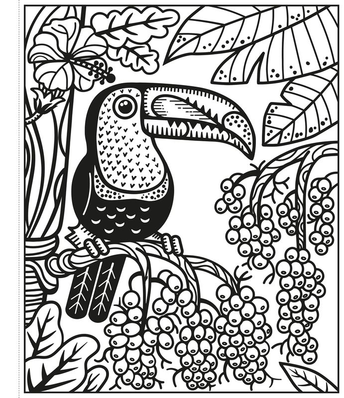 Birds Magic Painting Book : Usborne