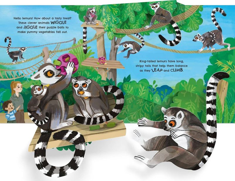 Pop-up Zoo board book : Usborne