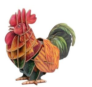 VOICES OF NATURE - ROOSTER KIT