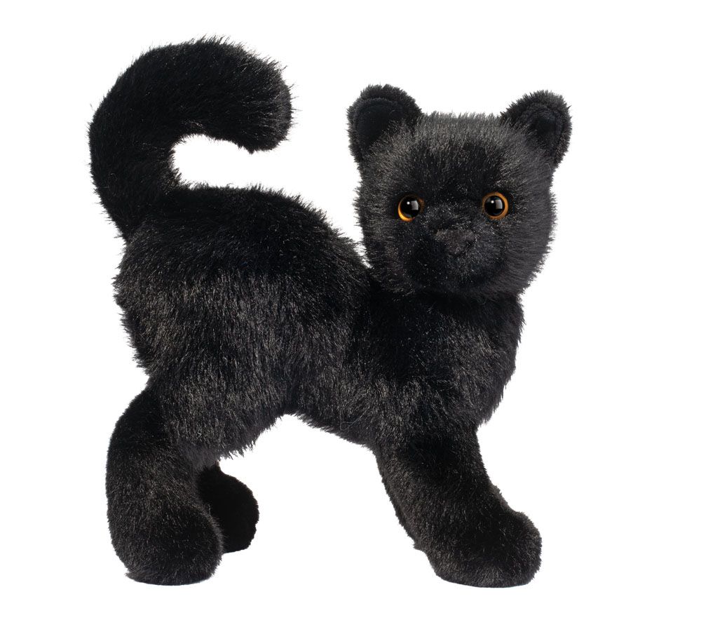 SCAREDY BLACK CAT