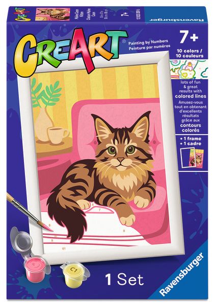 CreArt: Maine Coon Kitten 5x7