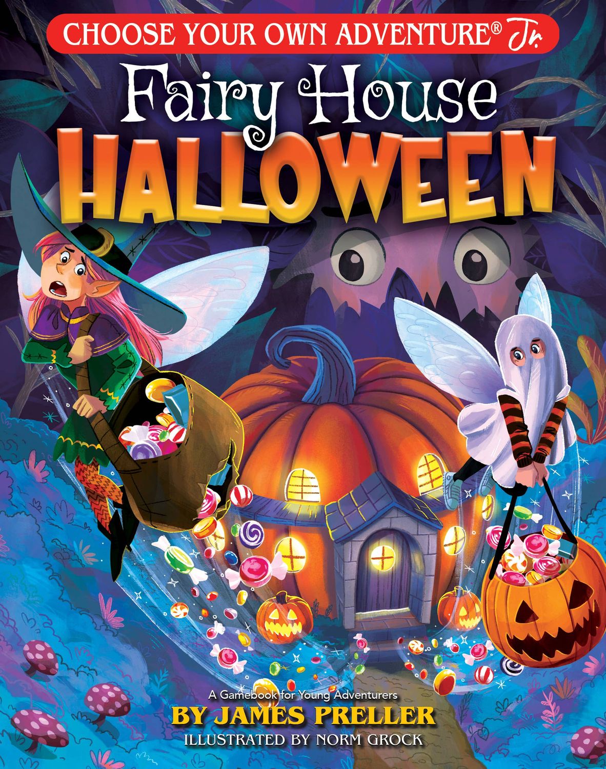 CYOA Fairy House Halloween Children's Book