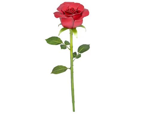 Red Rose 3D Metal Earth Model Kit