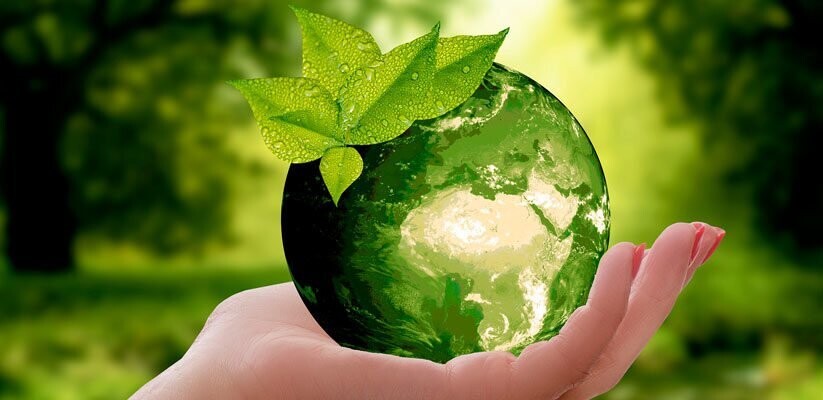 Sensibilización ambiental