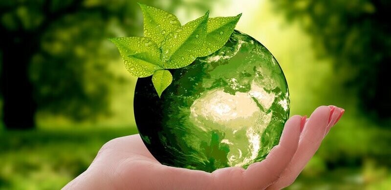 Sensibilización ambiental
