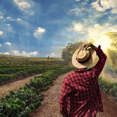 Gestión e incorporación a la empresa agraria