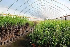 Operaciones básicas en viveros y centros de jardinería.