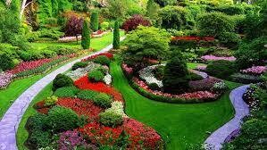 Operaciones básicas para la instalación de jardines, parques y zonas verdes