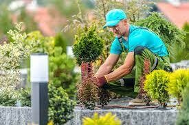 Operaciones básicas para el mantenimiento de jardines, parques y zonas verdes.